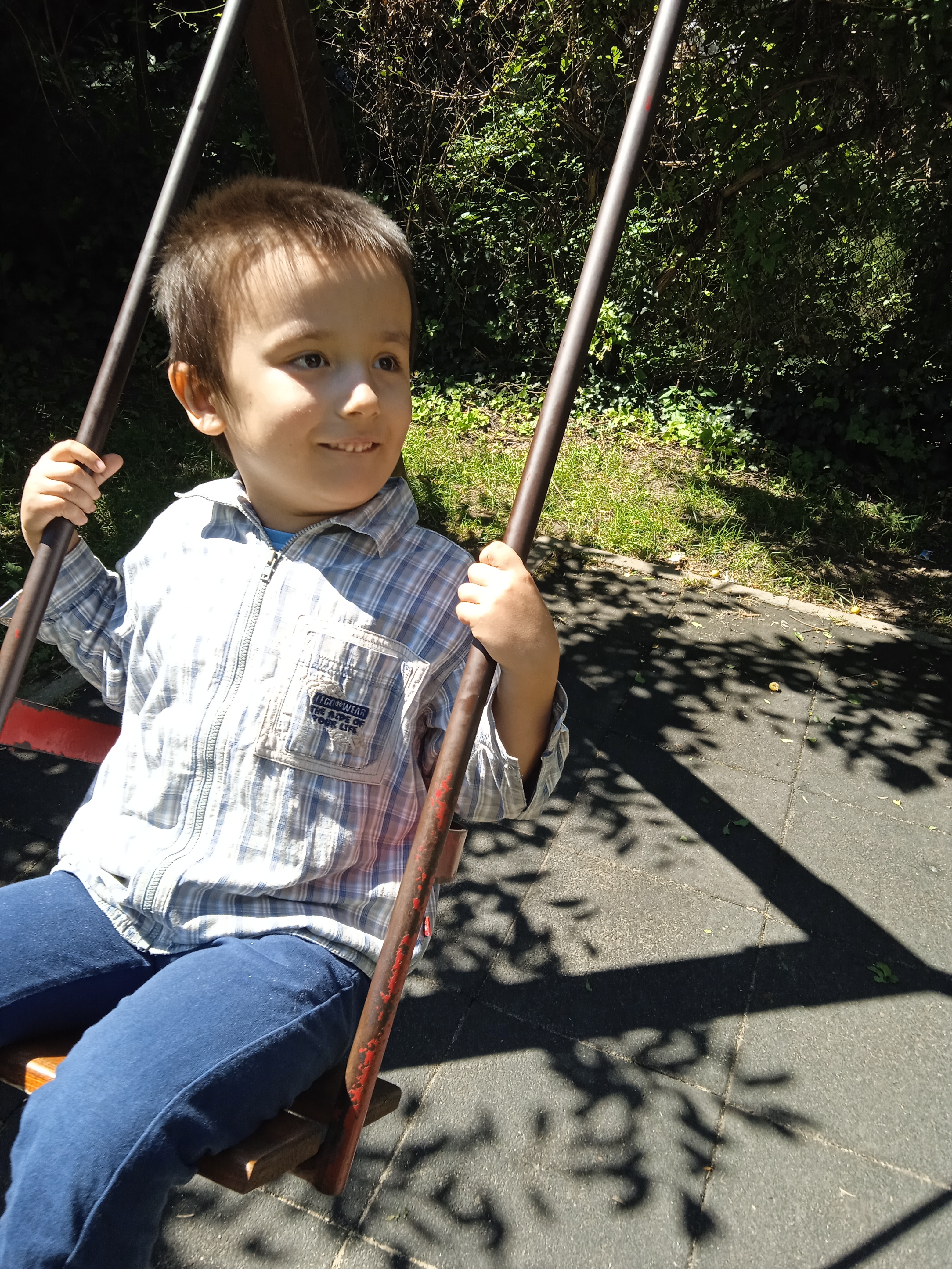 Подкрепа за терапията на Мишо