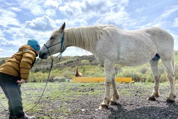 Да помогнем на деца със специфични нужди чрез конна терапия / Equine therapy sessions for children with special needs